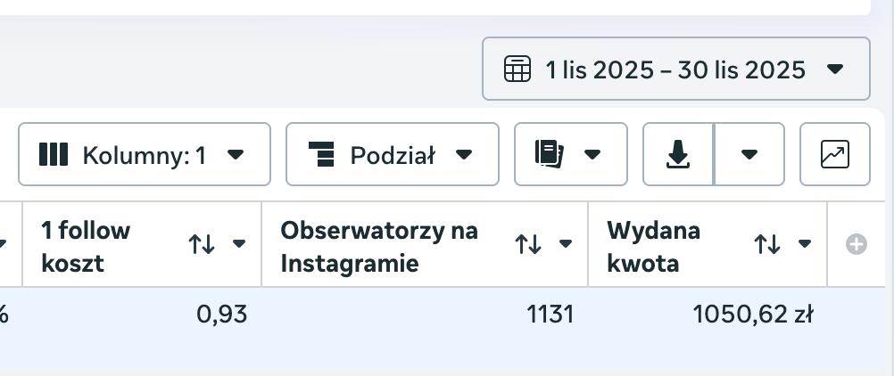Wynik kampanii follow, 1131 obserwatorów na Instagramie